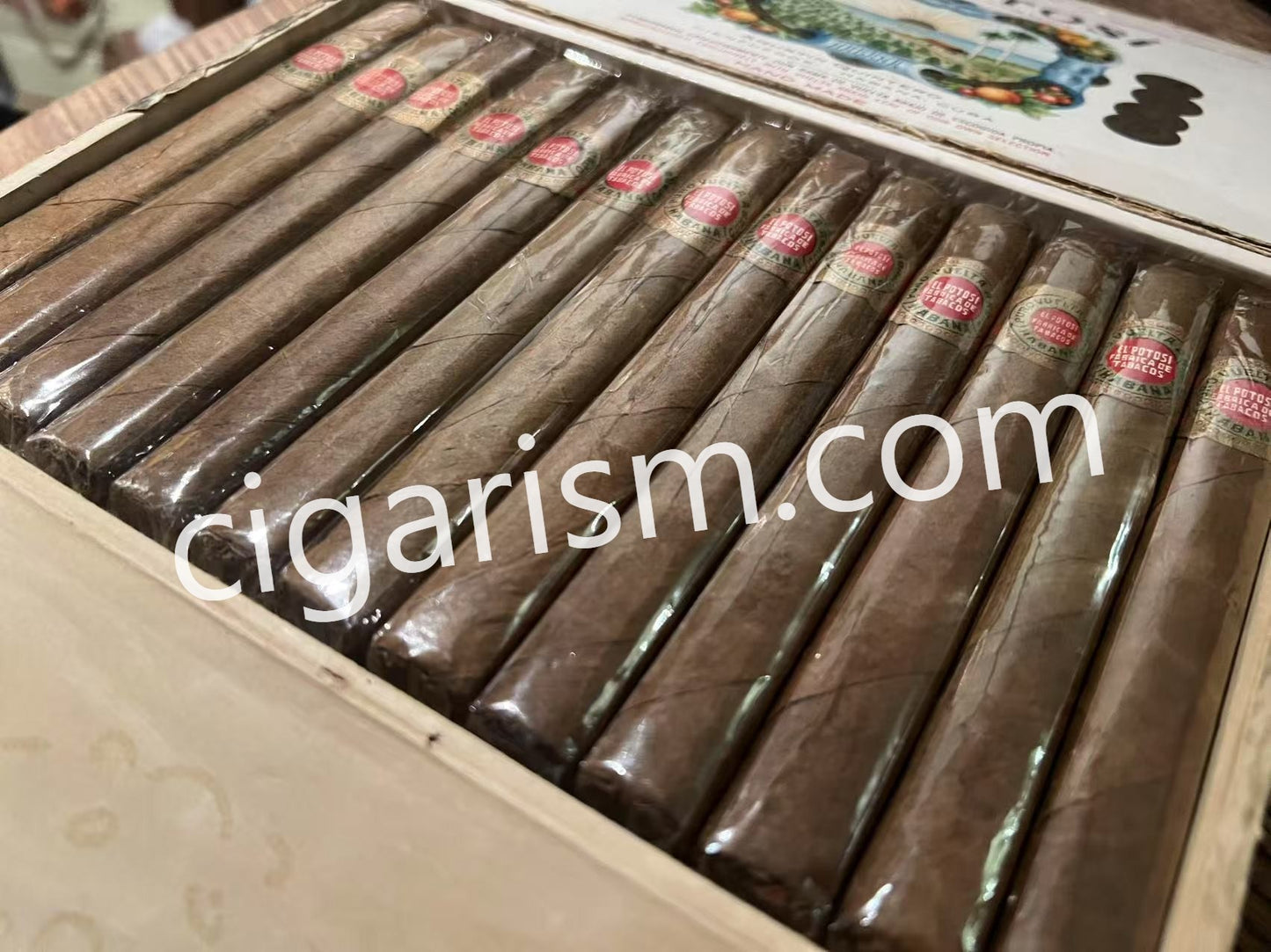 艾爾波托西 EL POTOSÍ Coronas · 25支裝 · Puro Vuelta Abajo