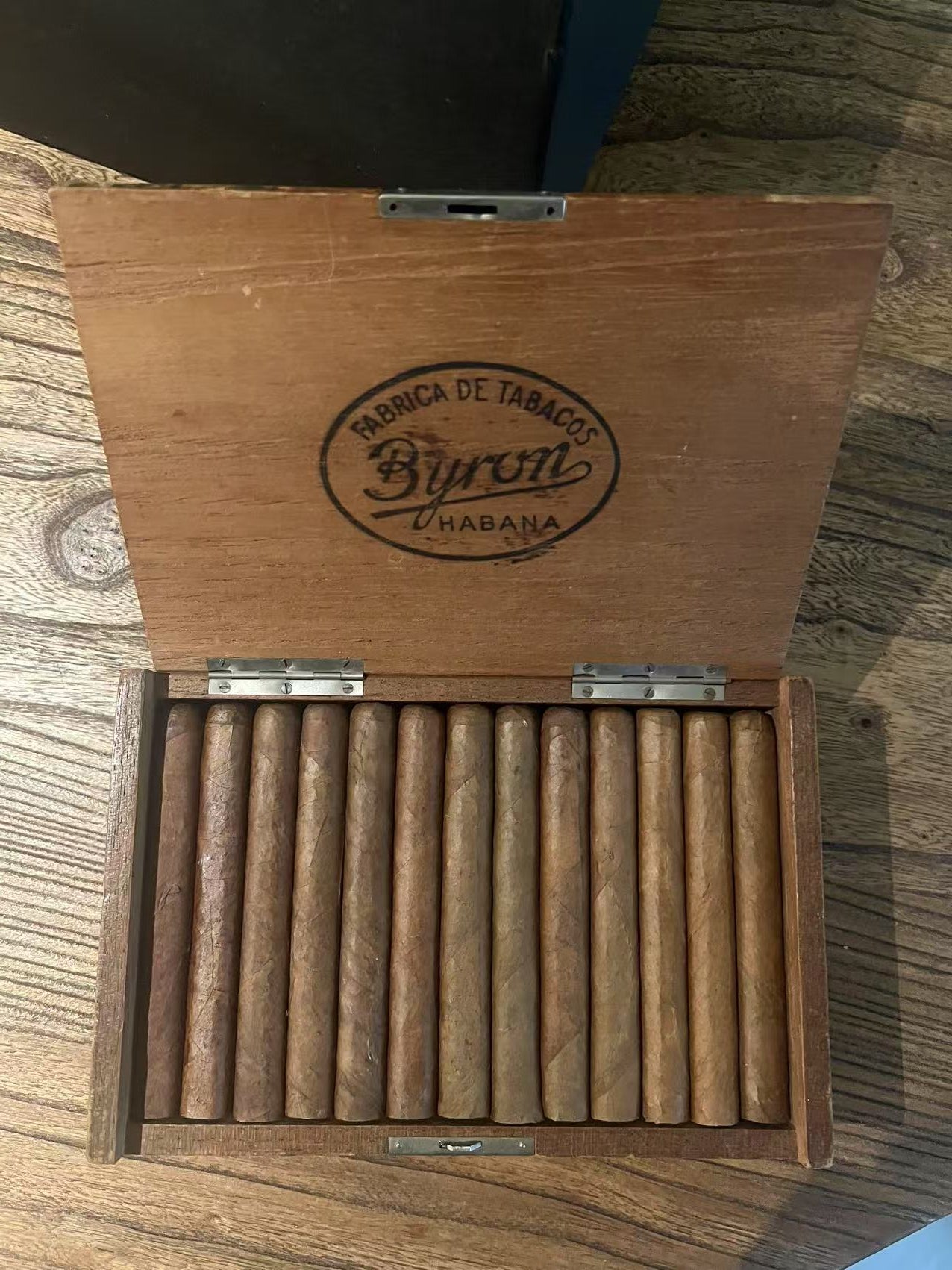 拜倫 50 周年精选系列第 3 款 BYRON  50 Anniversary Selection No. 3