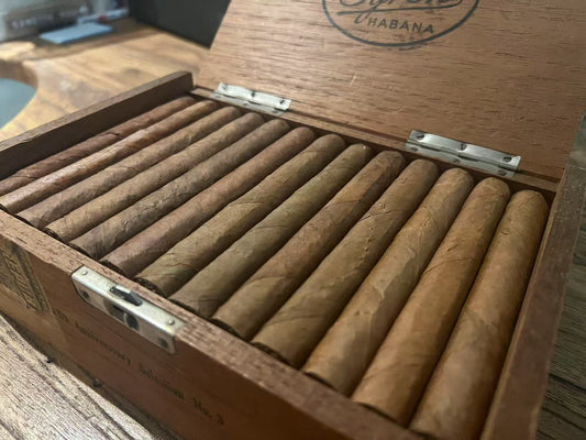 拜倫 50 周年精选系列第 3 款 BYRON  50 Anniversary Selection No. 3
