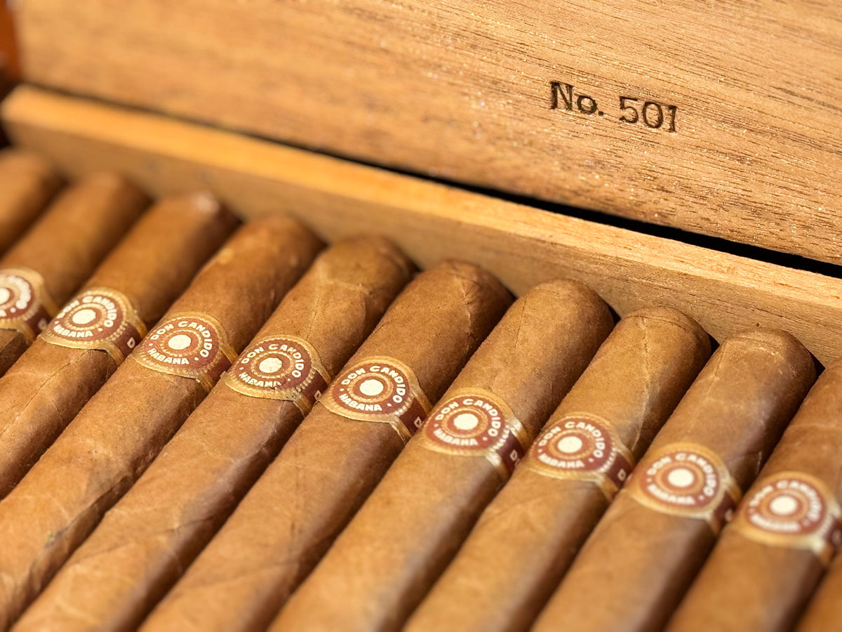 登喜路堂·坎迪多 DON CÁNDIDO Dunhill Selección  ·  No. 501