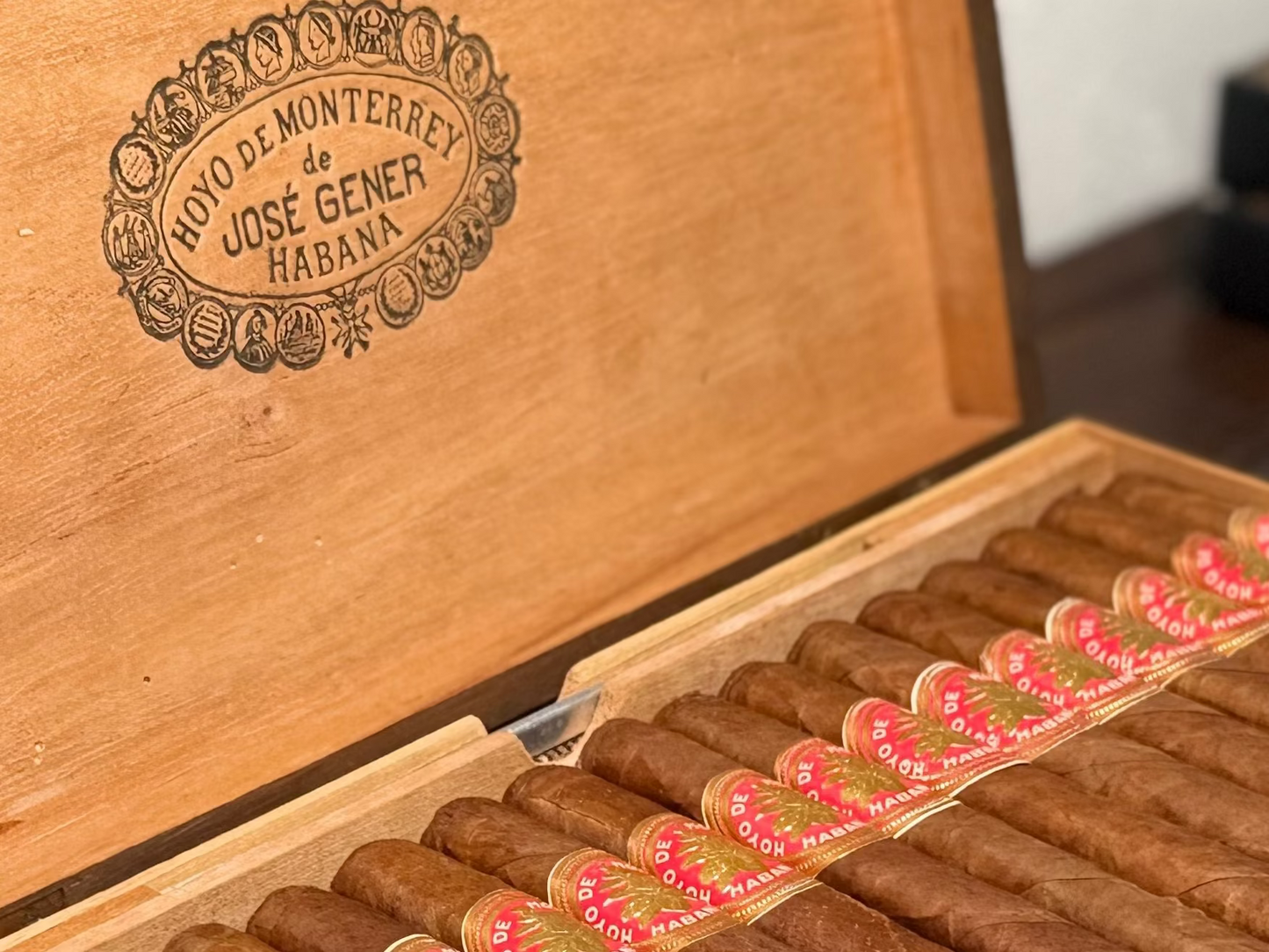 好友蒙特雷 大葉標 Hoyo de Monterrey