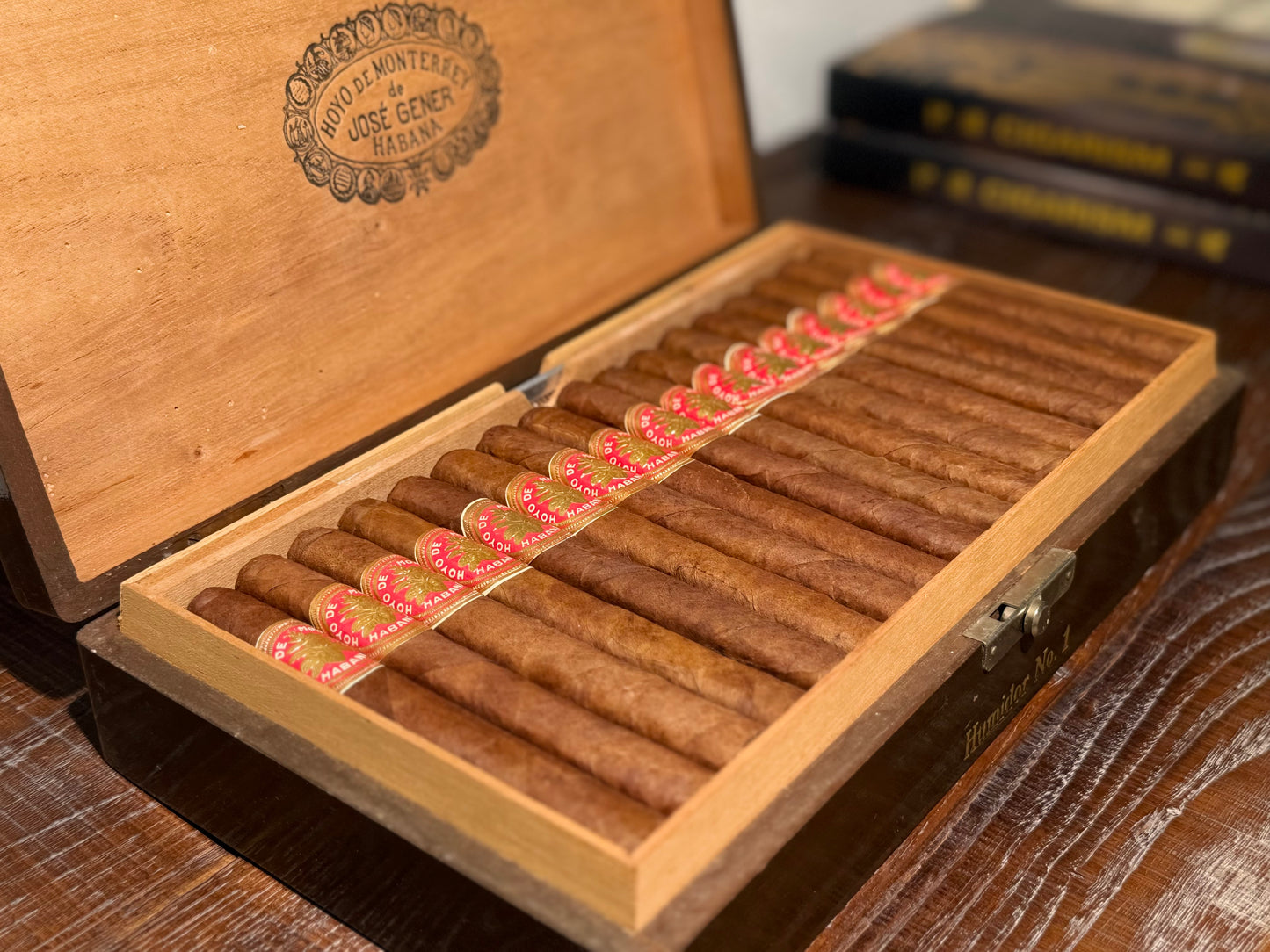 好友蒙特雷 大葉標 Hoyo de Monterrey