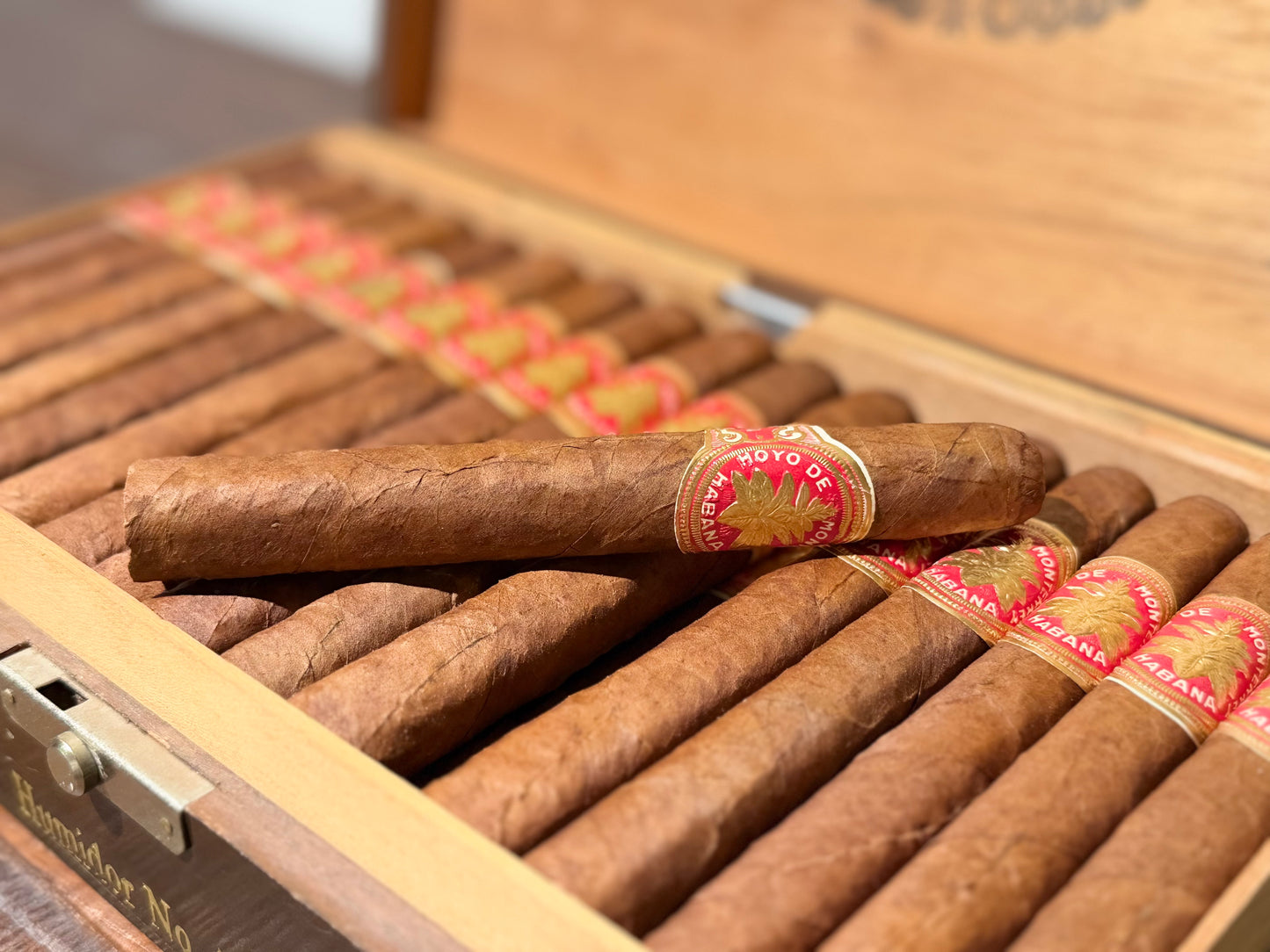 好友蒙特雷 大葉標 Hoyo de Monterrey